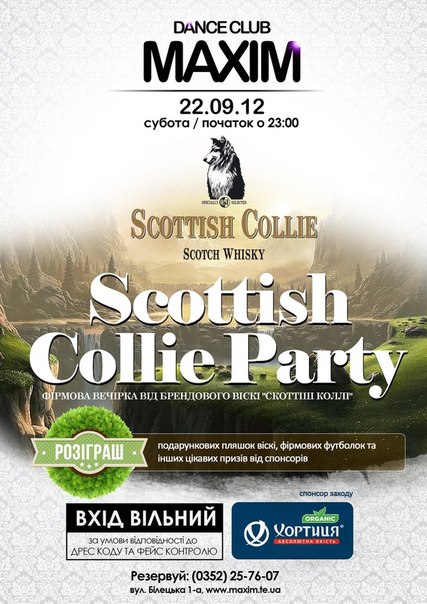 Scottish Collie Party