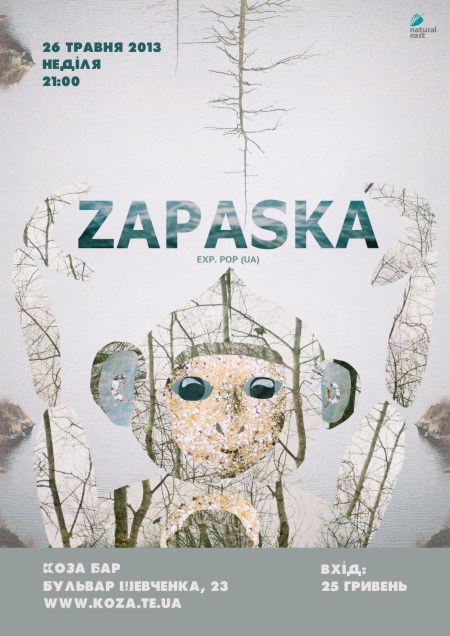 Zapaska