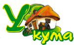 У Кума